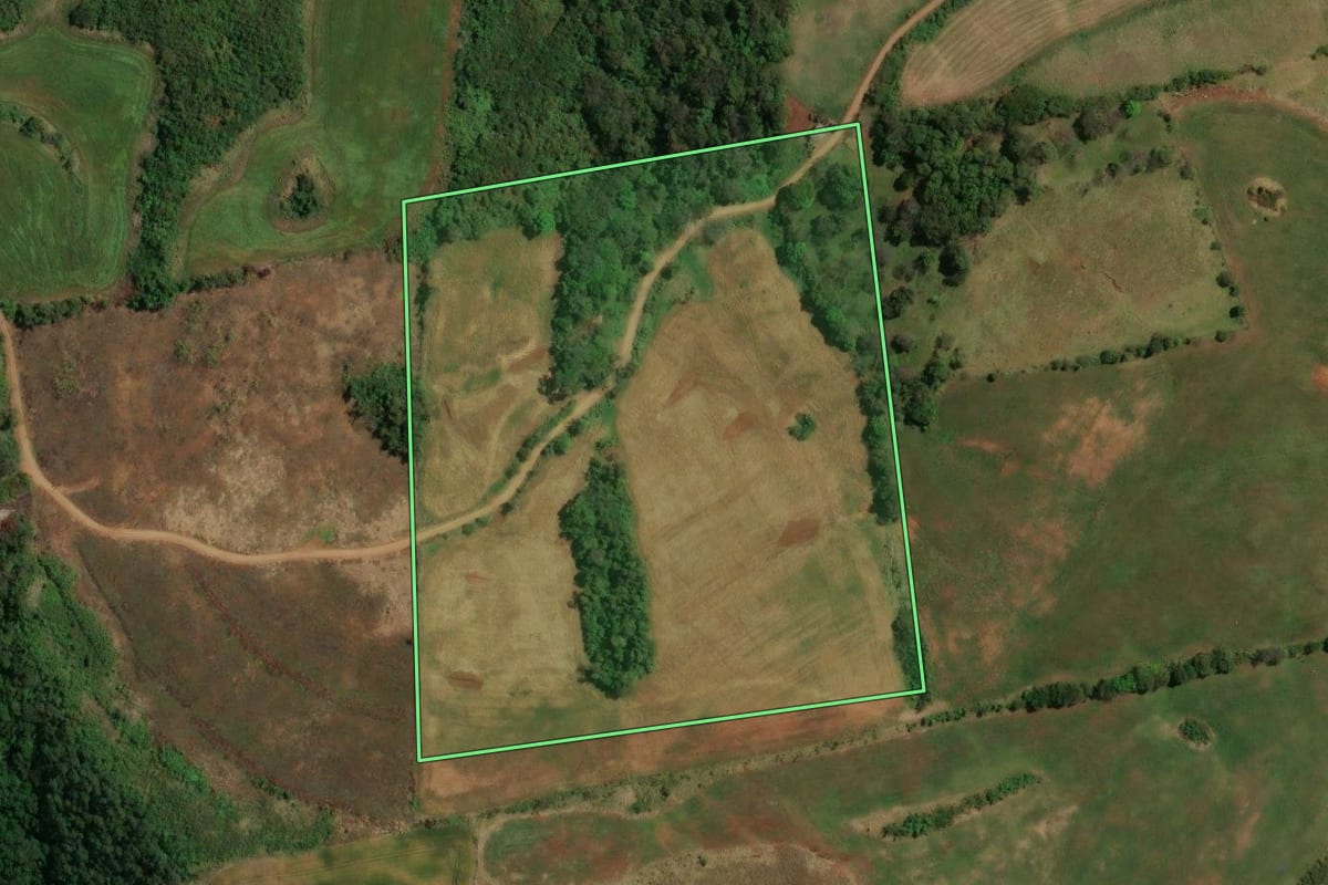 Imagem de satélite do imóvel rural em Pitanga (PR), com o contorno declarado no CAR desenhado por cima.