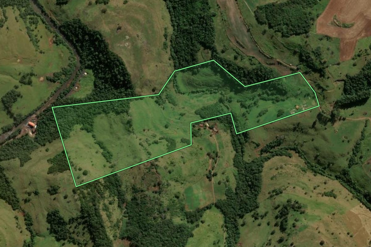 Imagem de satélite do imóvel rural em Pitanga (PR), com o contorno declarado no CAR desenhado por cima.