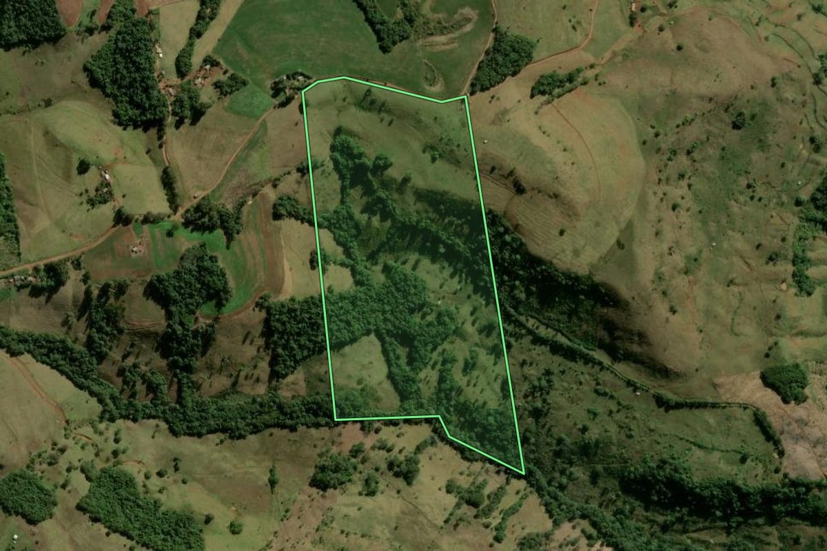 Imagem de satélite do imóvel rural em Pitanga (PR), com o contorno declarado no CAR desenhado por cima.