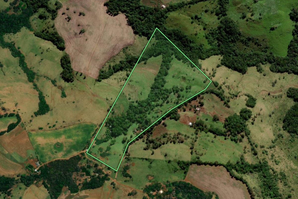 Imagem de satélite do imóvel rural em Pitanga (PR), com o contorno declarado no CAR desenhado por cima.