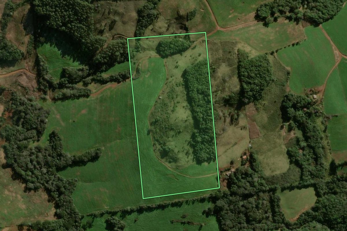 Imagem de satélite do imóvel rural em Pitanga (PR), com o contorno declarado no CAR desenhado por cima.
