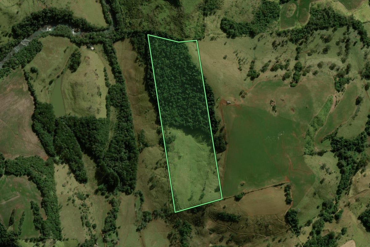 Imagem de satélite do imóvel rural em Pitanga (PR), com o contorno declarado no CAR desenhado por cima.