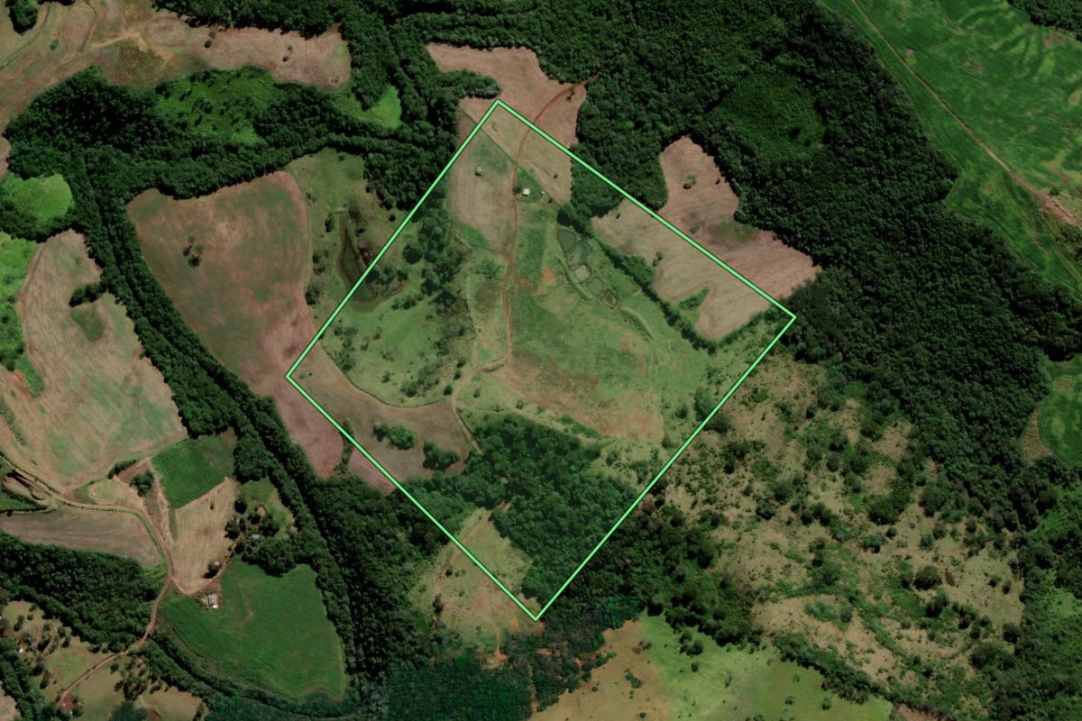 Imagem de satélite do imóvel rural em Pitanga (PR), com o contorno declarado no CAR desenhado por cima.