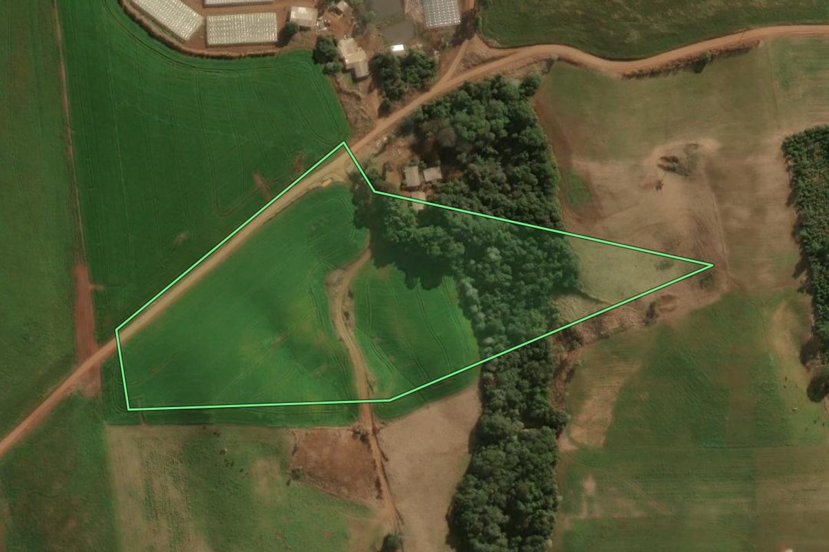 Imagem de satélite do imóvel rural em Pitanga (PR), com o contorno declarado no CAR desenhado por cima.