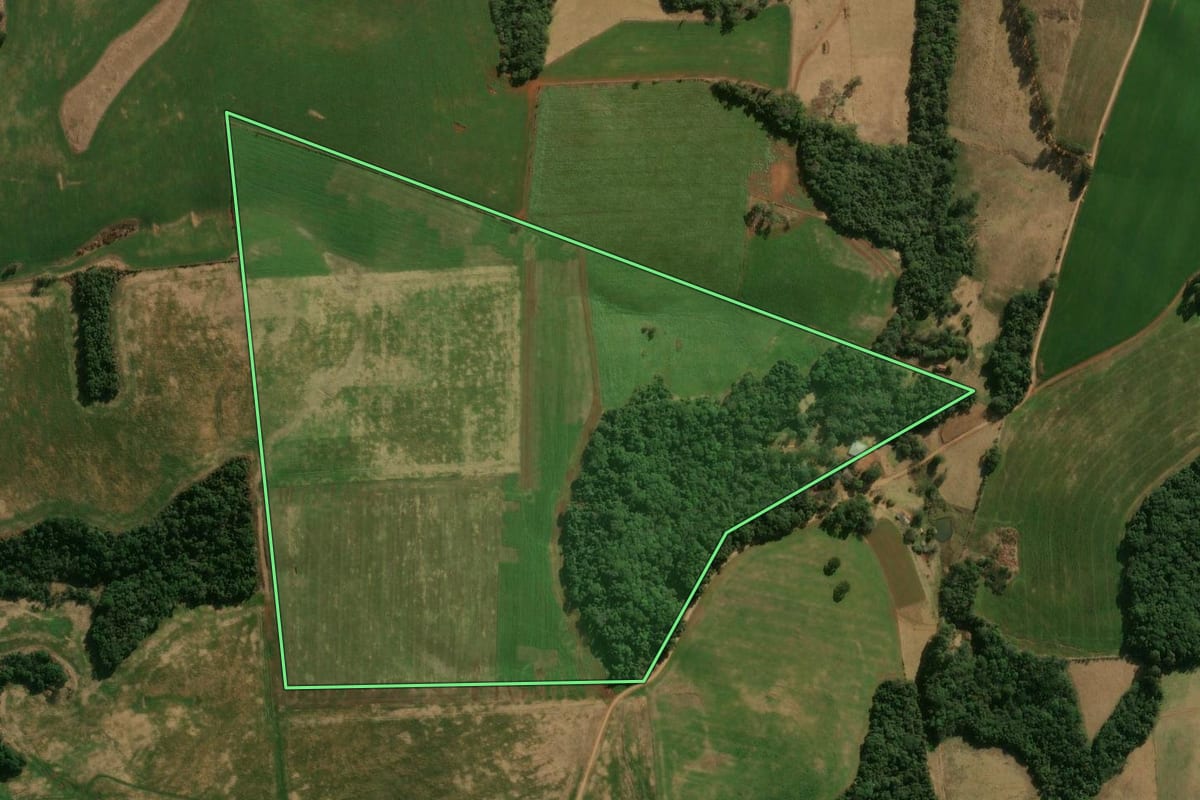 Imagem de satélite do imóvel rural em Pitanga (PR), com o contorno declarado no CAR desenhado por cima.