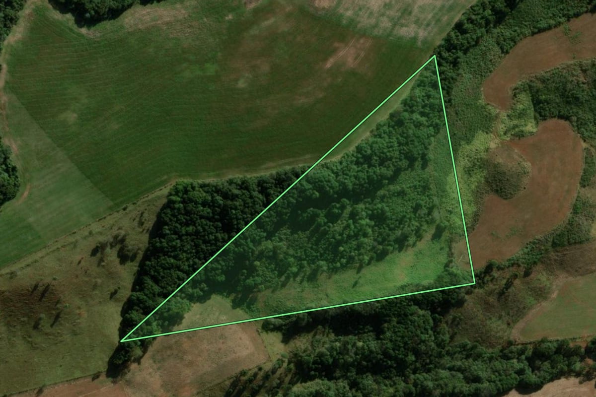 Imagem de satélite do imóvel rural em Pitanga (PR), com o contorno declarado no CAR desenhado por cima.
