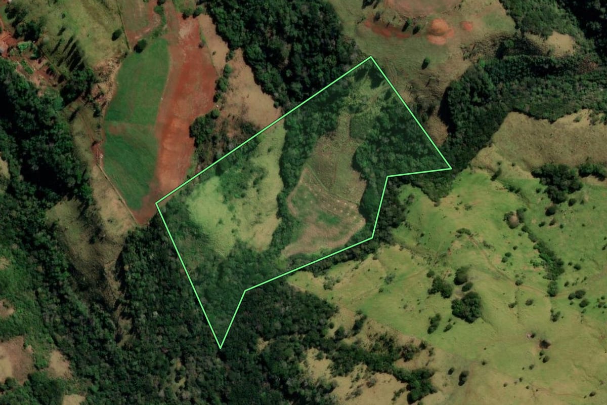 Imagem de satélite do imóvel rural em Pitanga (PR), com o contorno declarado no CAR desenhado por cima.