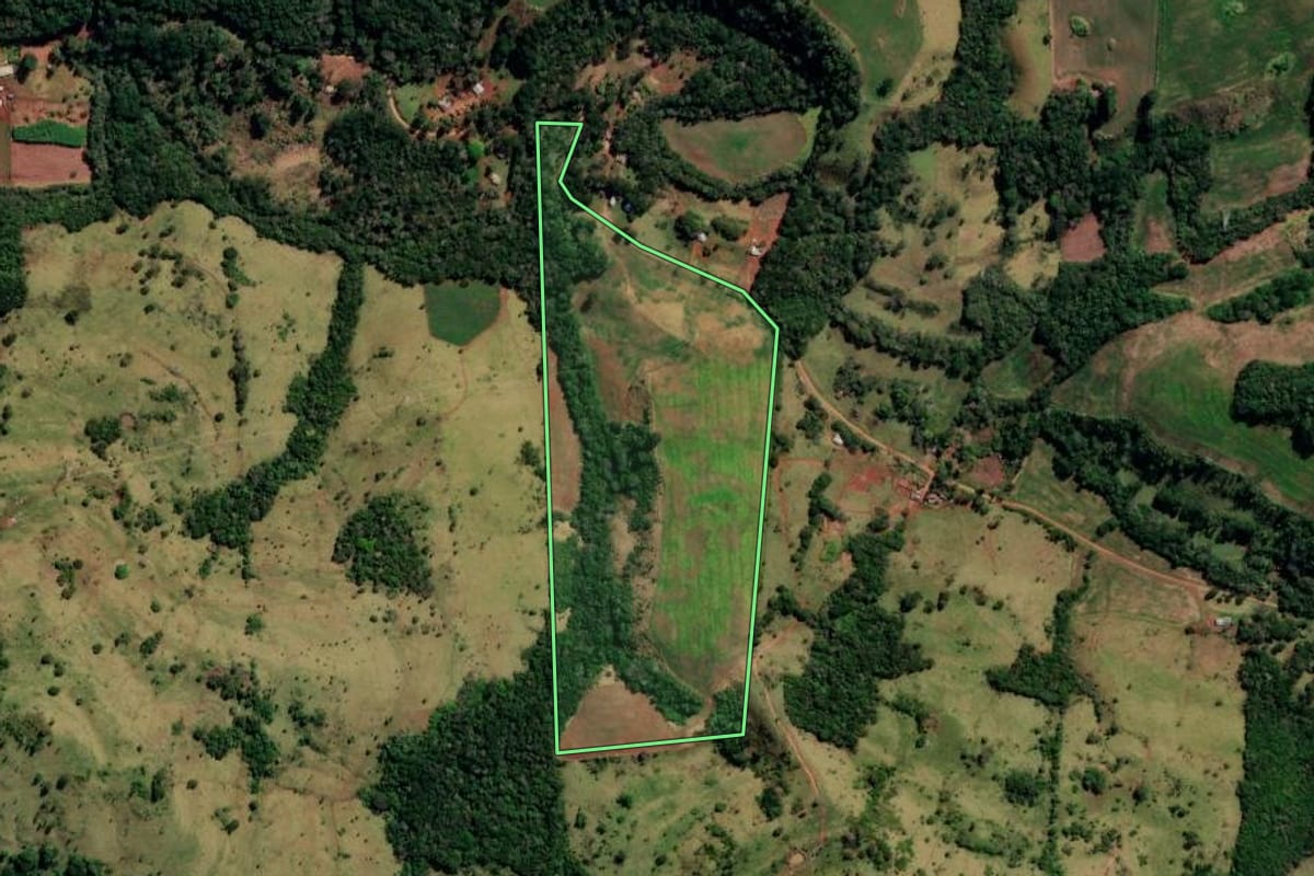 Imagem de satélite do imóvel rural em Pitanga (PR), com o contorno declarado no CAR desenhado por cima.
