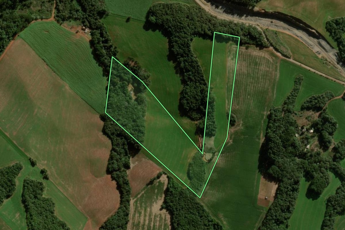 Imagem de satélite do imóvel rural em Pitanga (PR), com o contorno declarado no CAR desenhado por cima.