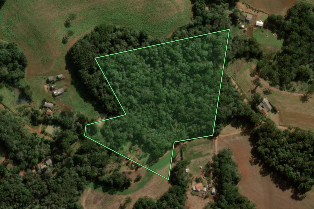 Imagem de satélite do imóvel rural em Pitanga (PR), com o contorno declarado no CAR desenhado por cima.