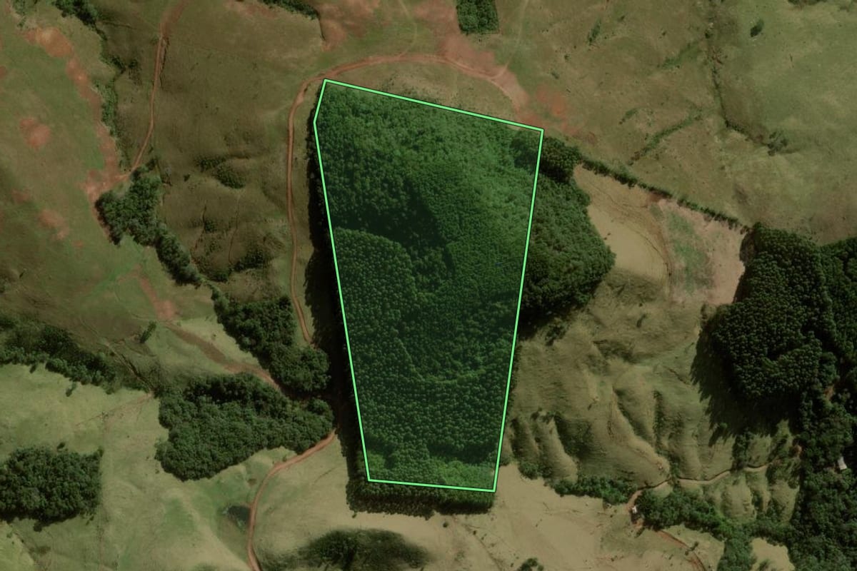 Imagem de satélite do imóvel rural em Pitanga (PR), com o contorno declarado no CAR desenhado por cima.