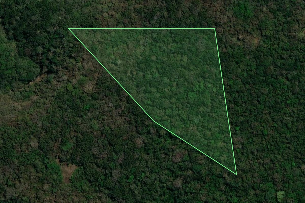 Imagem de satélite do imóvel rural em Pitanga (PR), com o contorno declarado no CAR desenhado por cima.