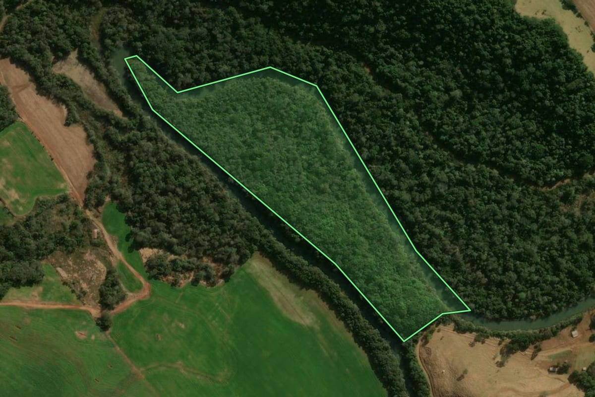 Imagem de satélite do imóvel rural em Pitanga (PR), com o contorno declarado no CAR desenhado por cima.