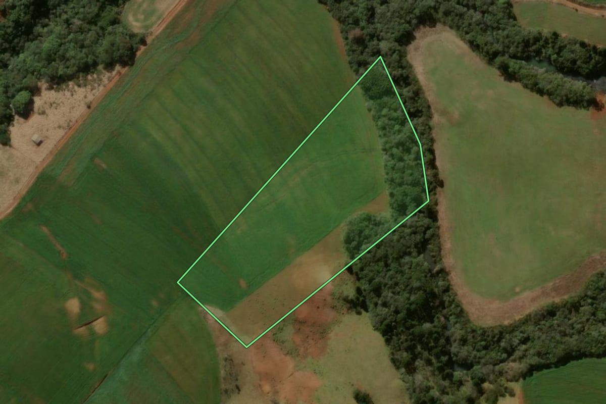 Imagem de satélite do imóvel rural em Pitanga (PR), com o contorno declarado no CAR desenhado por cima.