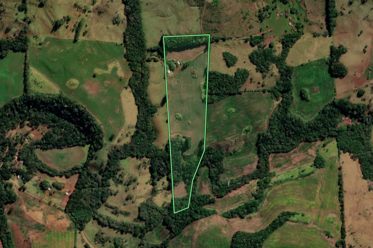 Imagem de satélite do imóvel rural em Pitanga (PR), com o contorno declarado no CAR desenhado por cima.