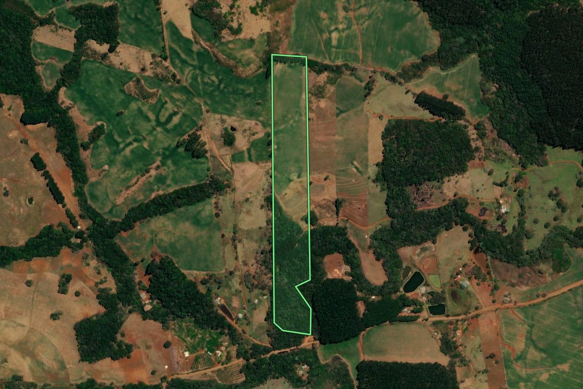 Imagem de satélite do imóvel rural em Pitanga (PR), com o contorno declarado no CAR desenhado por cima.
