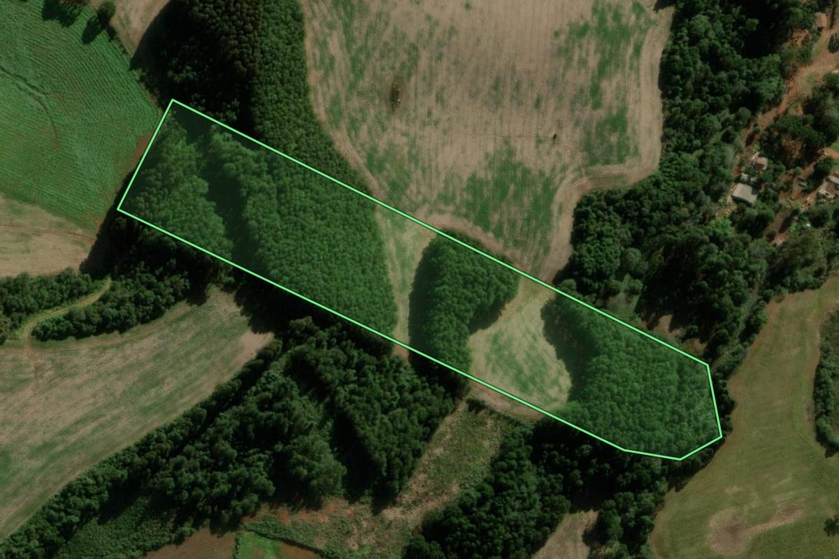 Imagem de satélite do imóvel rural em Pitanga (PR), com o contorno declarado no CAR desenhado por cima.