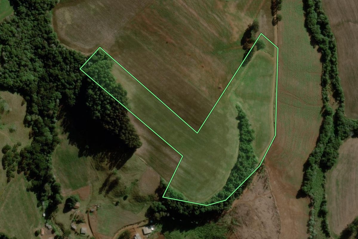 Imagem de satélite do imóvel rural em Pitanga (PR), com o contorno declarado no CAR desenhado por cima.