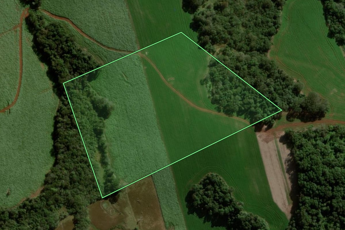 Imagem de satélite do imóvel rural em Pitanga (PR), com o contorno declarado no CAR desenhado por cima.