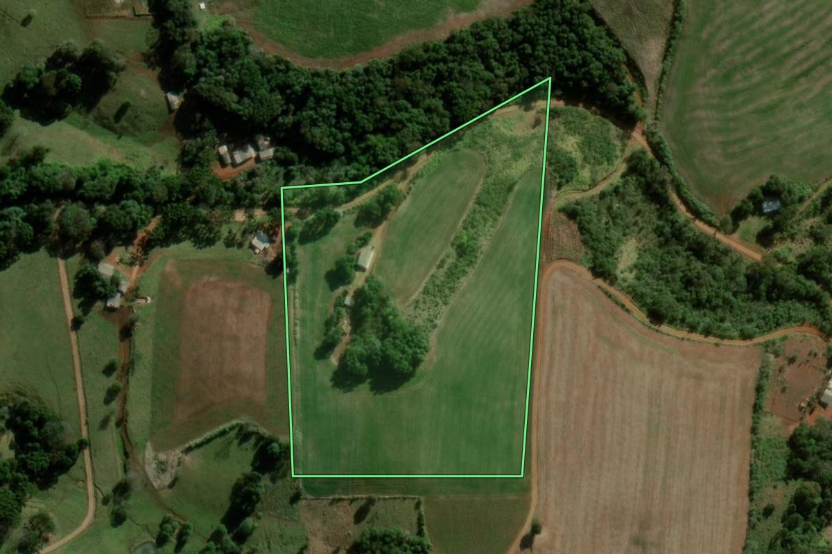 Imagem de satélite do imóvel rural em Pitanga (PR), com o contorno declarado no CAR desenhado por cima.
