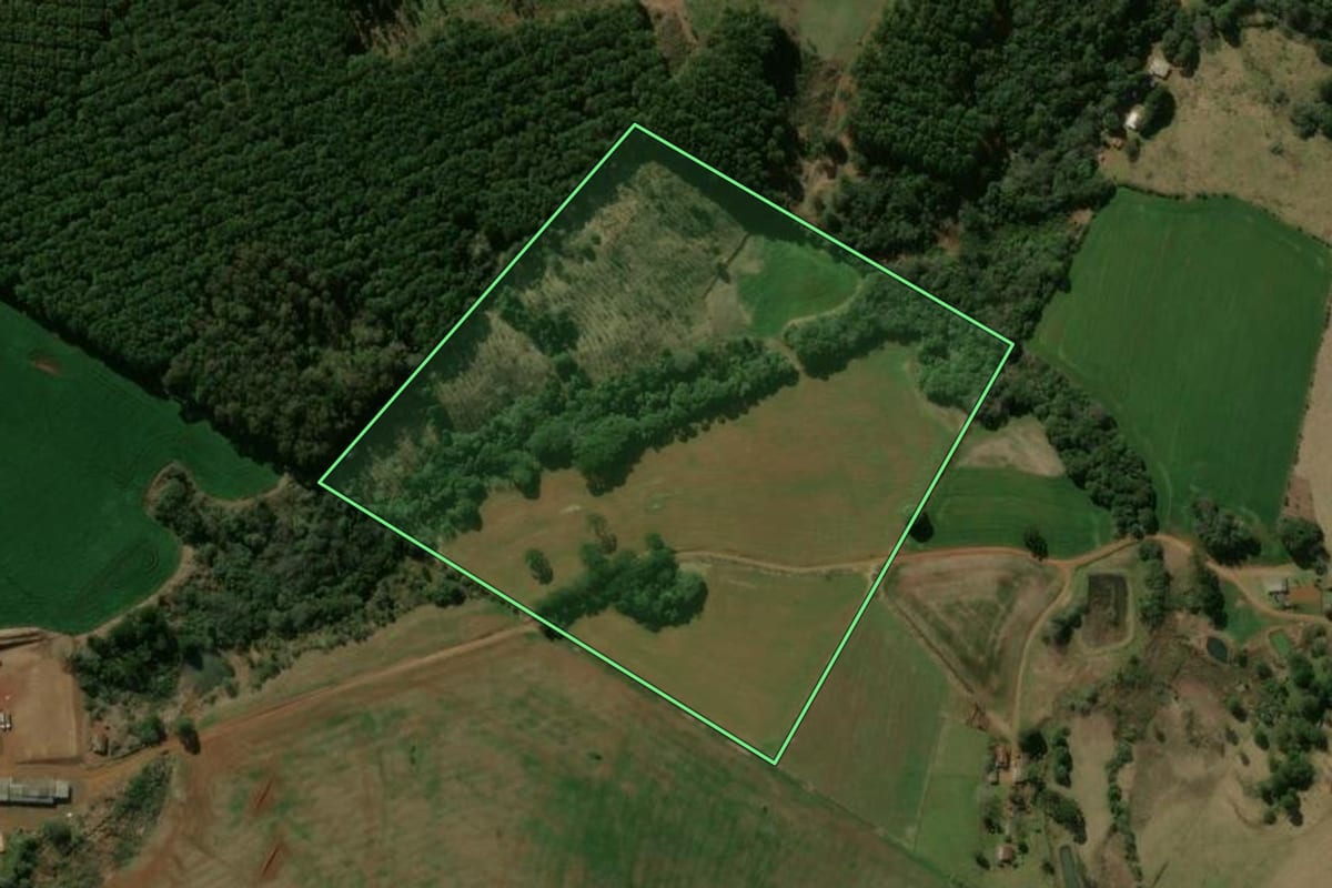 Imagem de satélite do imóvel rural em Pitanga (PR), com o contorno declarado no CAR desenhado por cima.