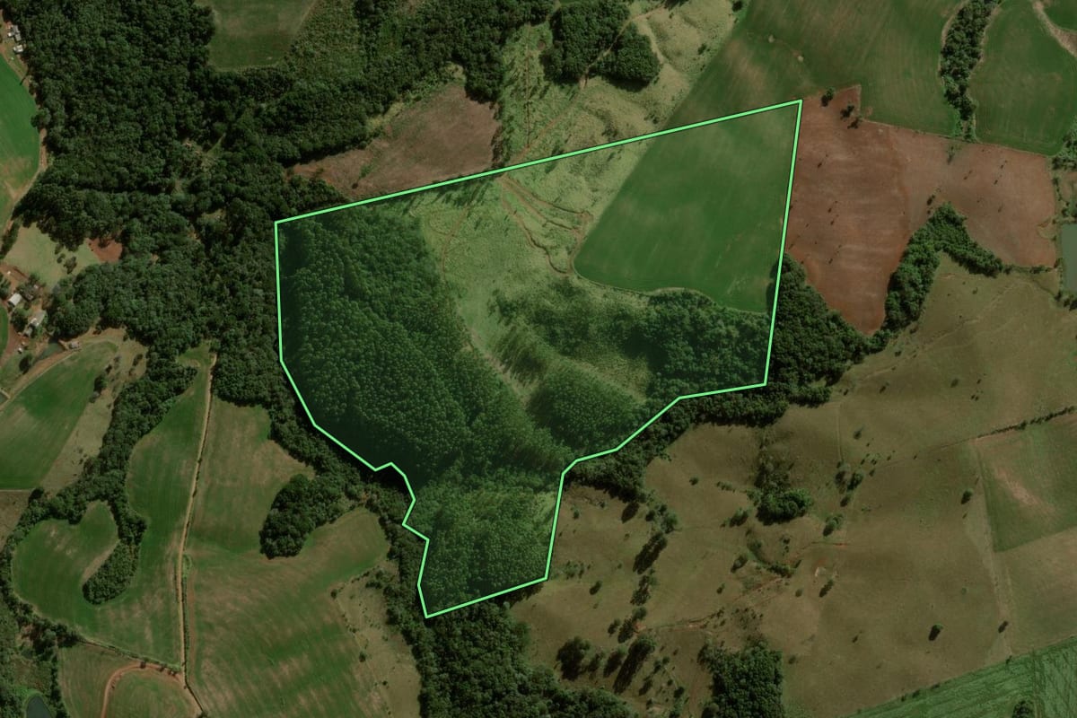 Imagem de satélite do imóvel rural em Pitanga (PR), com o contorno declarado no CAR desenhado por cima.