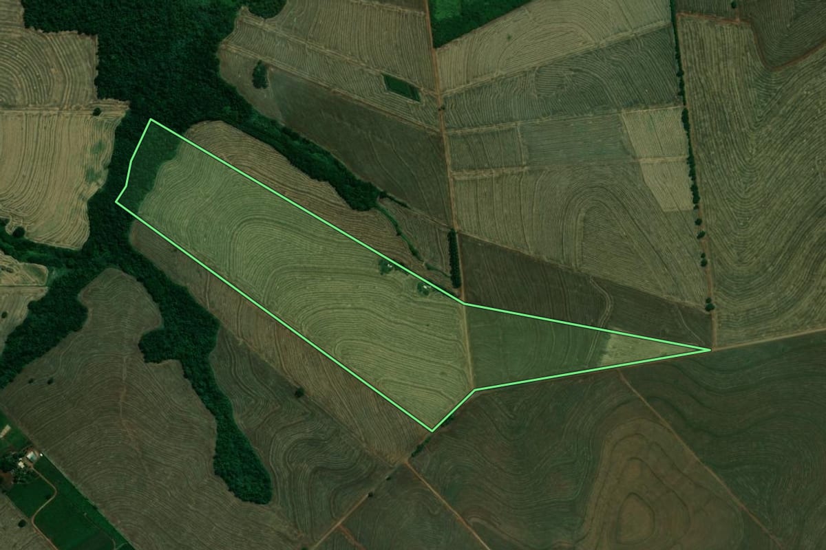 Imagem de satélite do imóvel rural em Pitangueiras (PR), com o contorno declarado no CAR desenhado por cima.