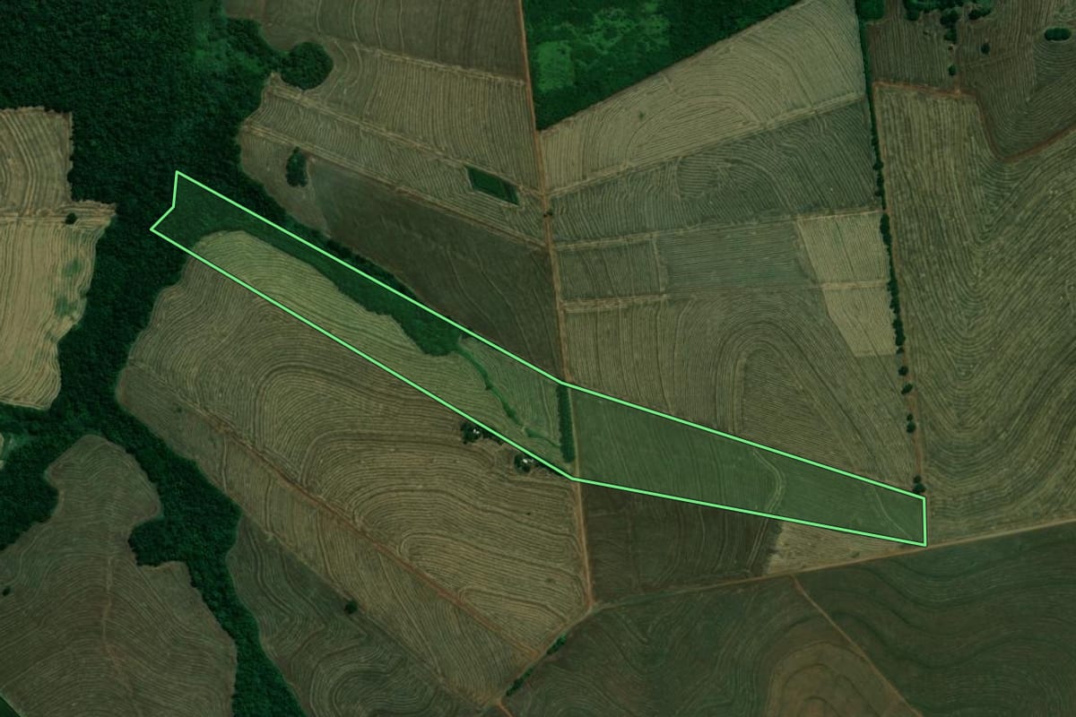Imagem de satélite do imóvel rural em Pitangueiras (PR), com o contorno declarado no CAR desenhado por cima.