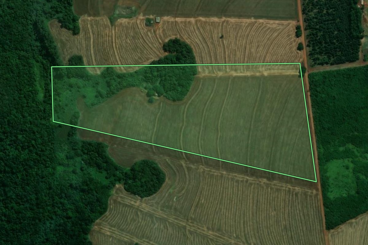 Imagem de satélite do imóvel rural em Pitangueiras (PR), com o contorno declarado no CAR desenhado por cima.