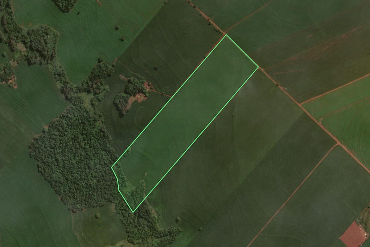 Imagem de satélite do imóvel rural em Pitangueiras (PR), com o contorno declarado no CAR desenhado por cima.