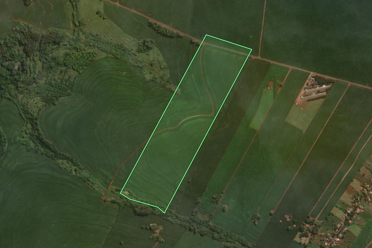 Imagem de satélite do imóvel rural em Pitangueiras (PR), com o contorno declarado no CAR desenhado por cima.