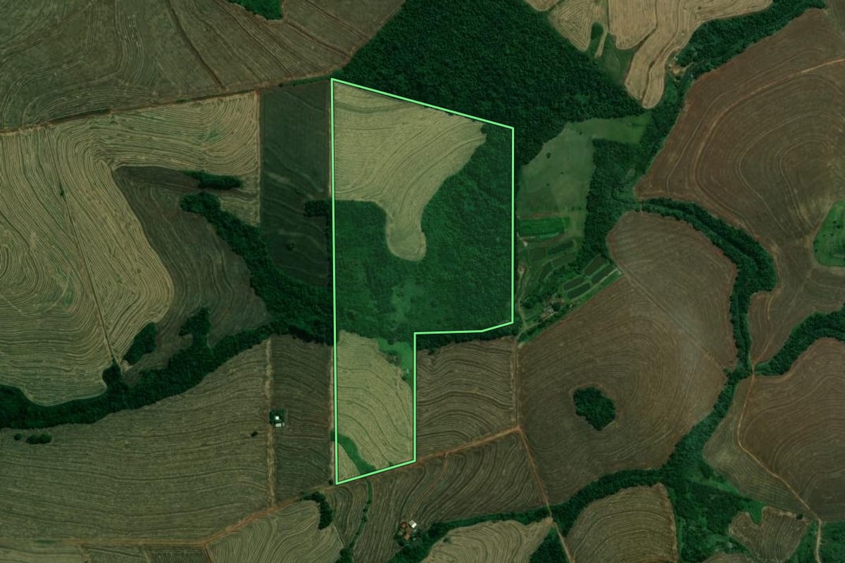 Imagem de satélite do imóvel rural em Pitangueiras (PR), com o contorno declarado no CAR desenhado por cima.