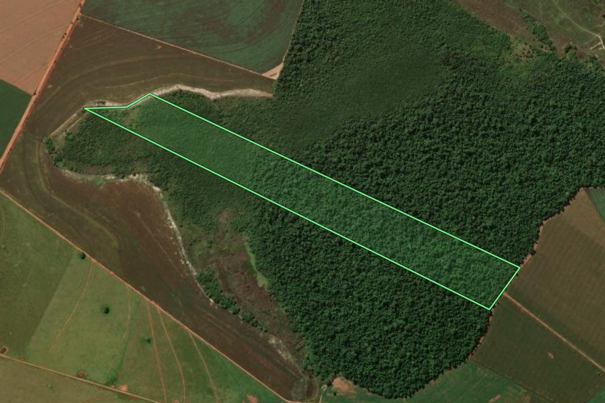 Imagem de satélite do imóvel rural em Planaltina do Paraná (PR), com o contorno declarado no CAR desenhado por cima.