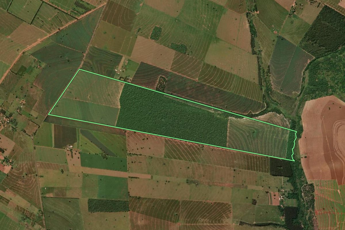Imagem de satélite do imóvel rural em Planaltina do Paraná (PR), com o contorno declarado no CAR desenhado por cima.