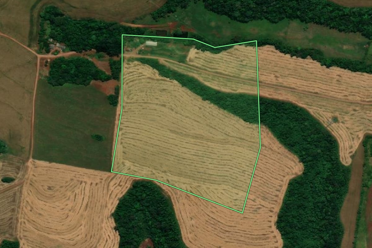 Imagem de satélite do imóvel rural em Planalto (PR), com o contorno declarado no CAR desenhado por cima.