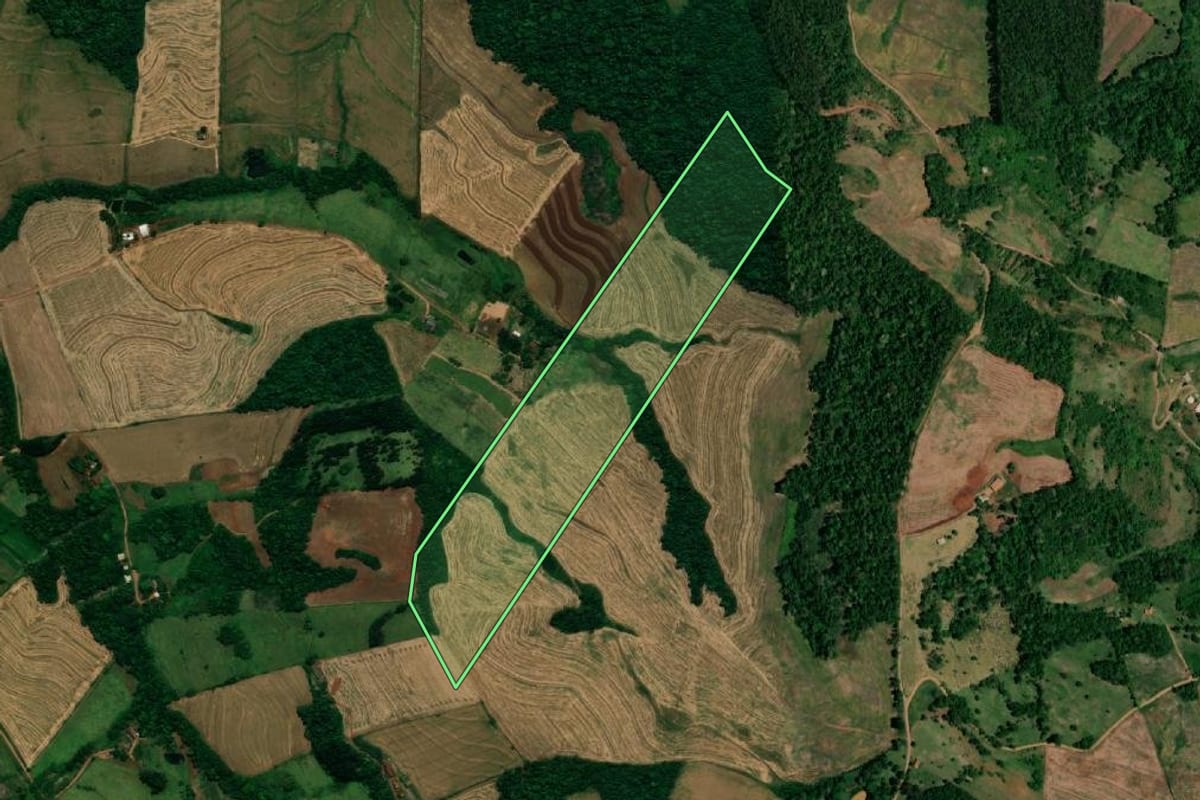 Imagem de satélite do imóvel rural em Planalto (PR), com o contorno declarado no CAR desenhado por cima.