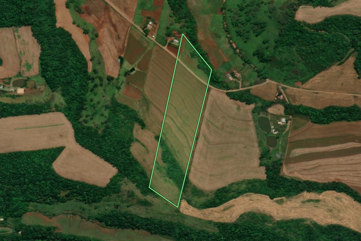 Imagem de satélite do imóvel rural em Planalto (PR), com o contorno declarado no CAR desenhado por cima.