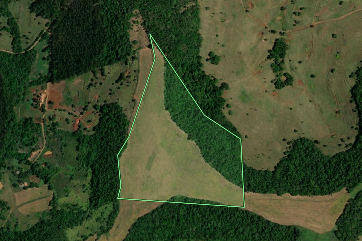 Imagem de satélite do imóvel rural em Planalto (PR), com o contorno declarado no CAR desenhado por cima.