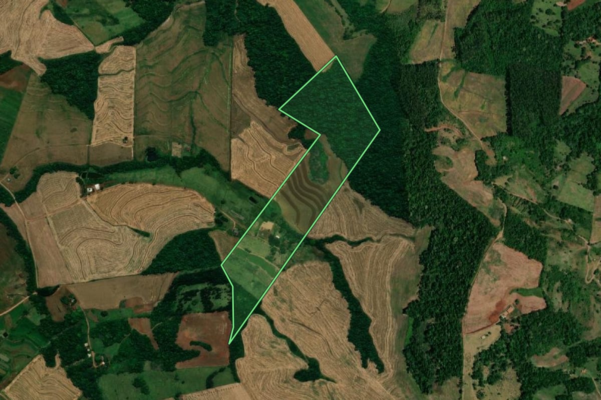 Imagem de satélite do imóvel rural em Planalto (PR), com o contorno declarado no CAR desenhado por cima.
