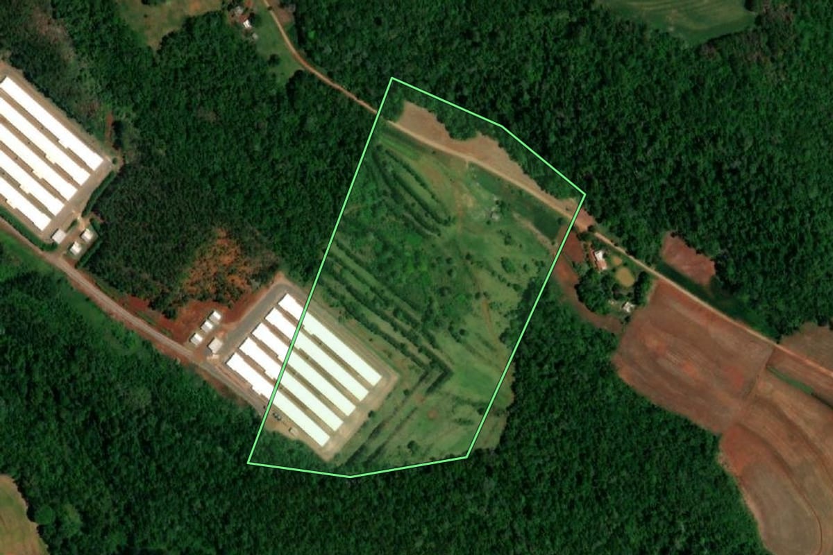 Imagem de satélite do imóvel rural em Planalto (PR), com o contorno declarado no CAR desenhado por cima.