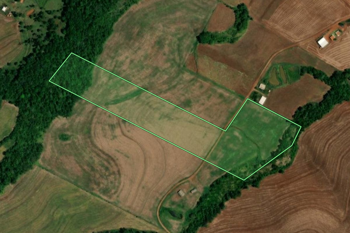 Imagem de satélite do imóvel rural em Planalto (PR), com o contorno declarado no CAR desenhado por cima.