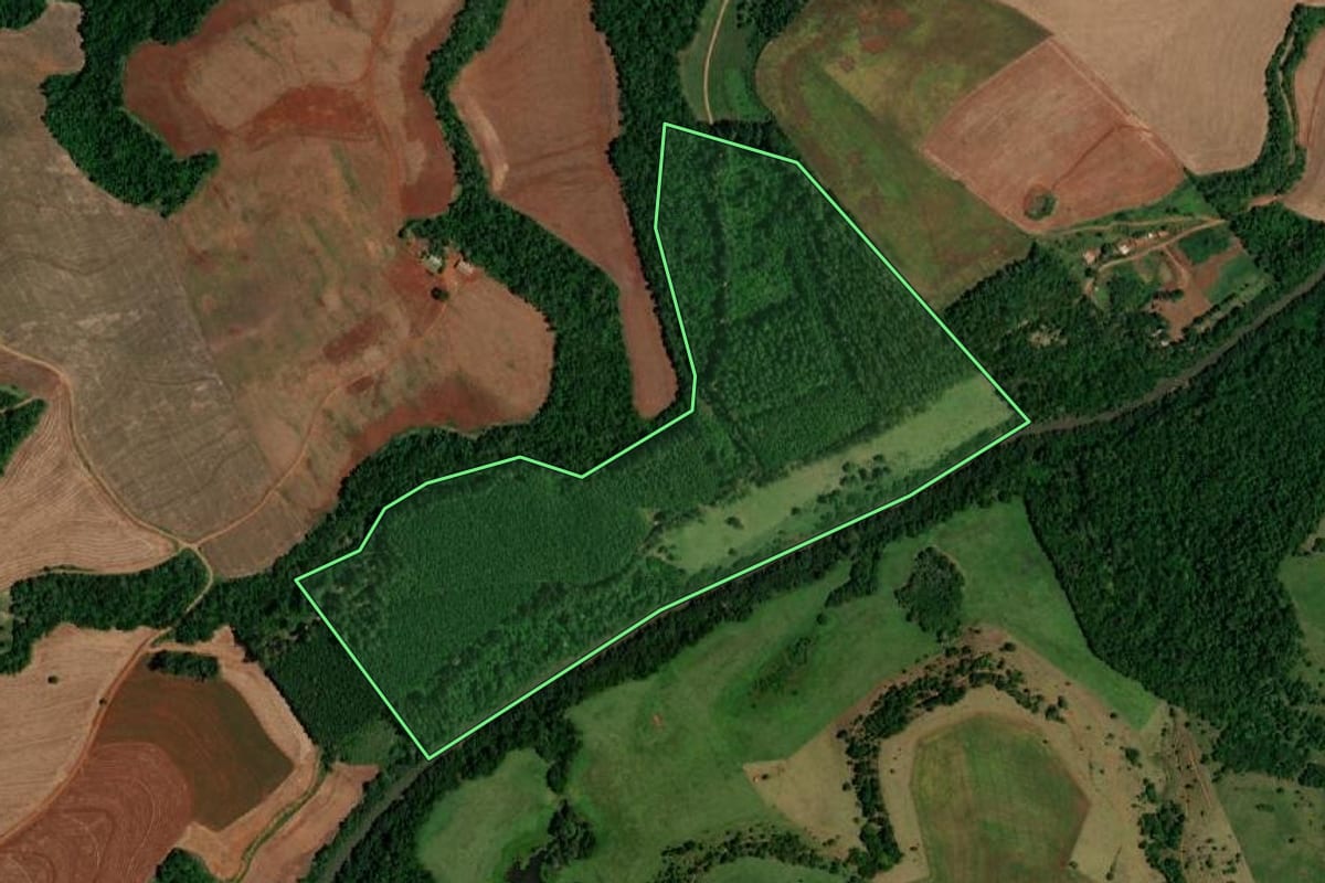 Imagem de satélite do imóvel rural em Planalto (PR), com o contorno declarado no CAR desenhado por cima.