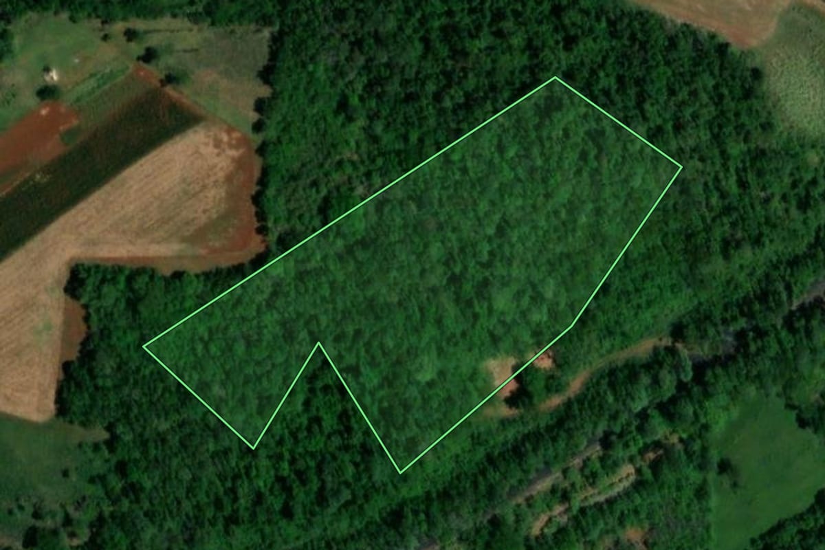 Imagem de satélite do imóvel rural em Planalto (PR), com o contorno declarado no CAR desenhado por cima.