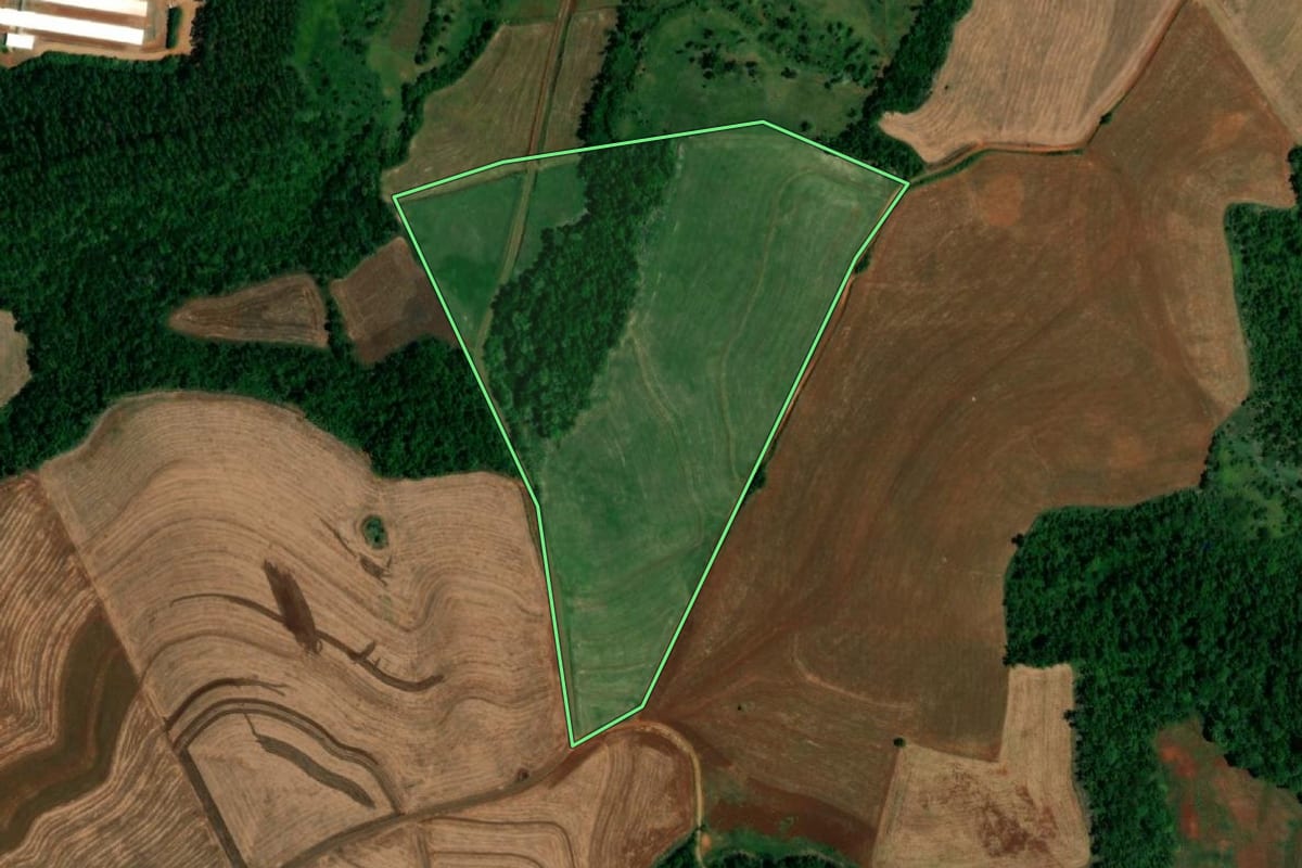 Imagem de satélite do imóvel rural em Planalto (PR), com o contorno declarado no CAR desenhado por cima.