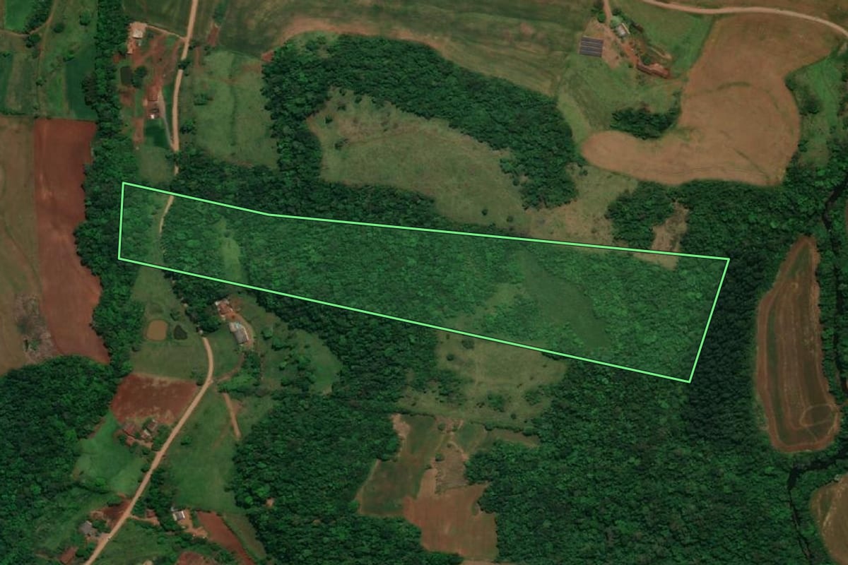 Imagem de satélite do imóvel rural em Planalto (PR), com o contorno declarado no CAR desenhado por cima.