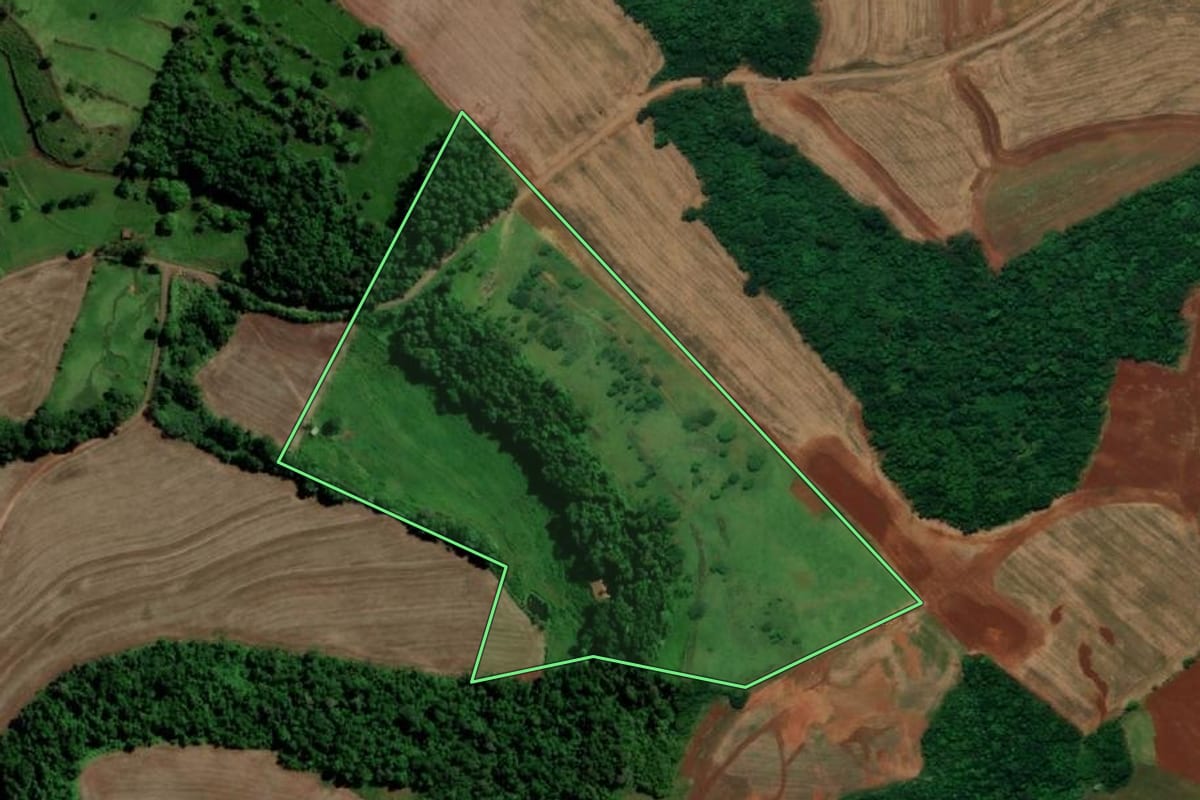Imagem de satélite do imóvel rural em Planalto (PR), com o contorno declarado no CAR desenhado por cima.