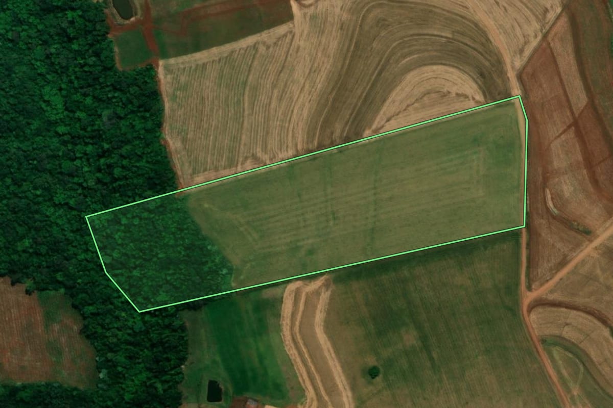 Imagem de satélite do imóvel rural em Planalto (PR), com o contorno declarado no CAR desenhado por cima.