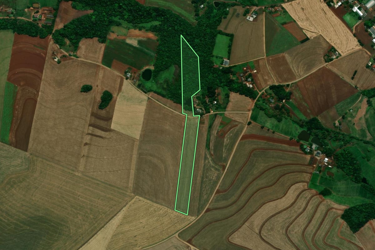 Imagem de satélite do imóvel rural em Planalto (PR), com o contorno declarado no CAR desenhado por cima.