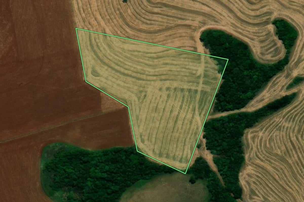 Imagem de satélite do imóvel rural em Planalto (PR), com o contorno declarado no CAR desenhado por cima.