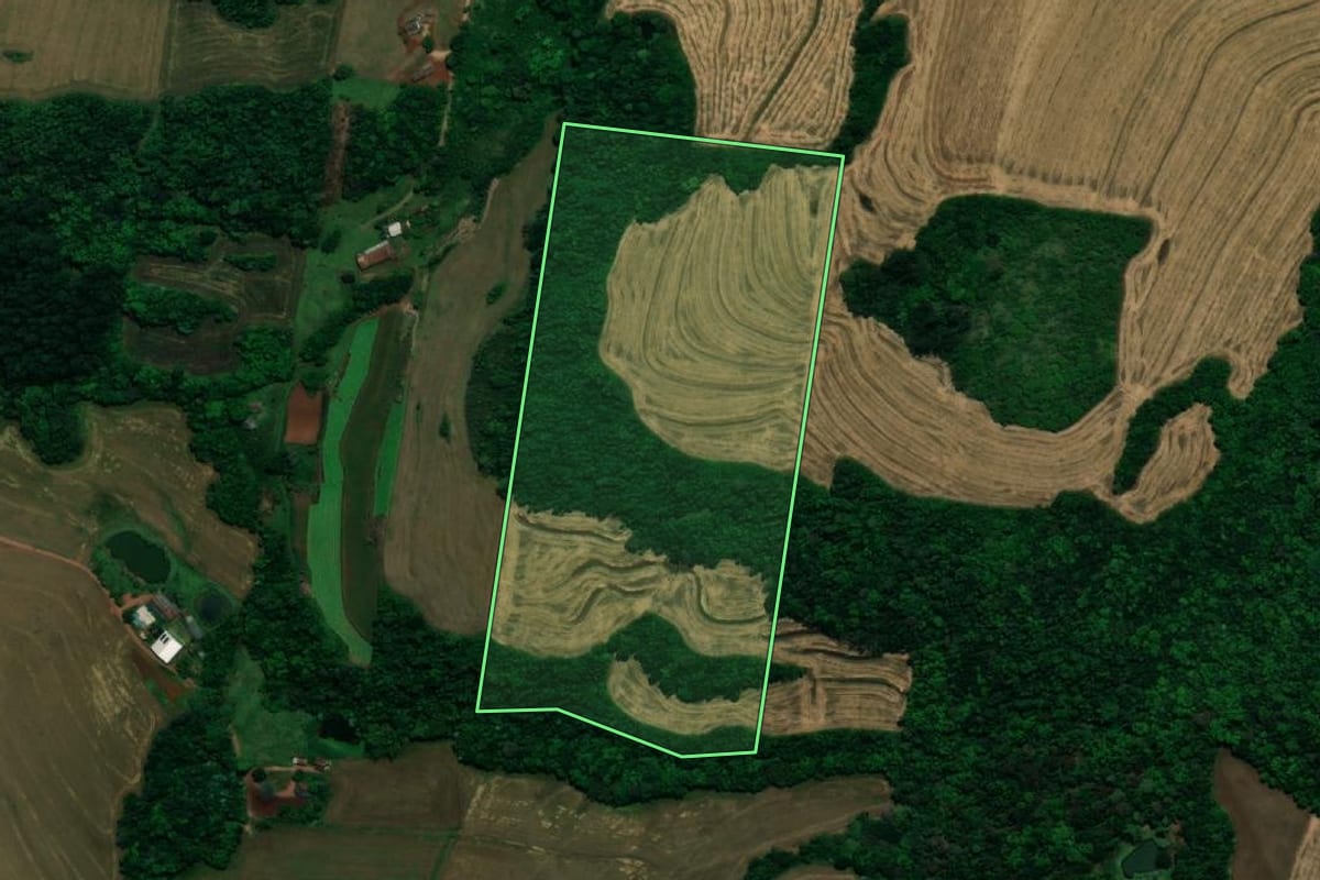 Imagem de satélite do imóvel rural em Planalto (PR), com o contorno declarado no CAR desenhado por cima.